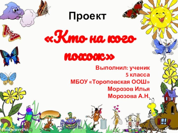 Проект«Кто на кого похож»Выполнил: ученик5 классаМБОУ «Тороповская ООШ»Морозов ИльяМорозова А.Н.