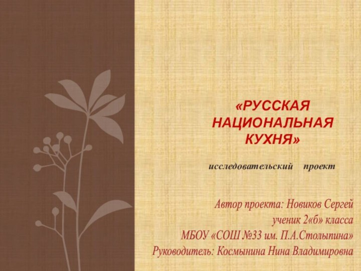 Автор проекта: Новиков Сергейученик 2«б» классаМБОУ «СОШ №33 им. П.А.Столыпина»Руководитель: Космынина Нина