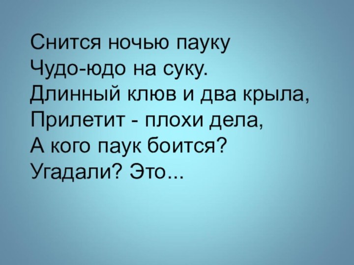 Снится ночью паукуЧудо-юдо на суку.Длинный клюв и два крыла,Прилетит - плохи дела,А