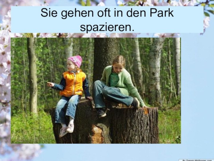 Sie gehen oft in den Park spazieren.