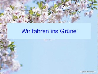 Презентация по немецкому языку Wir fahren ins Grüne