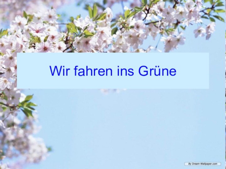 Wir fahren ins Grüne