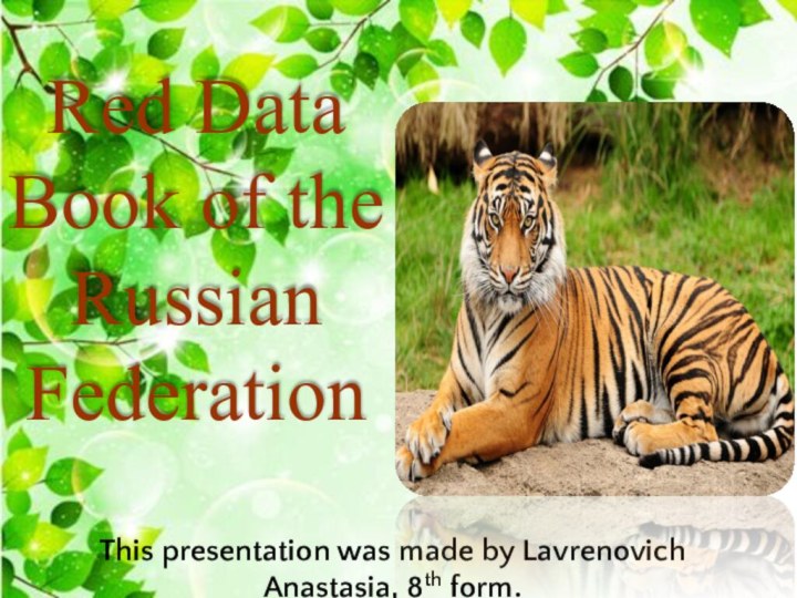 Red Data Book of the Russian FederationThis presentation was made by Lavrenovich Anastasia, 8th form.