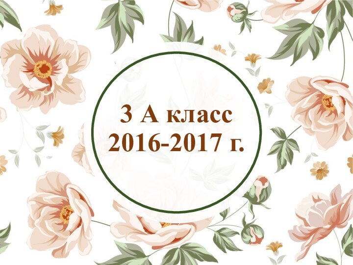 №3 А класс3 А класс 2016-2017 г.