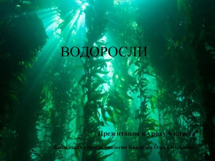 ВОДОРОСЛИПрезентация к уроку 6 класса Выполнила учитель биологии Бажанова Ольга Юрьевна