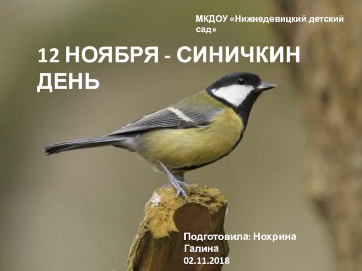 12 НОЯБРЯ - СИНИЧКИН ДЕНЬПодготовила: Нохрина Галина02.11.2018МКДОУ «Нижнедевицкий детский сад»