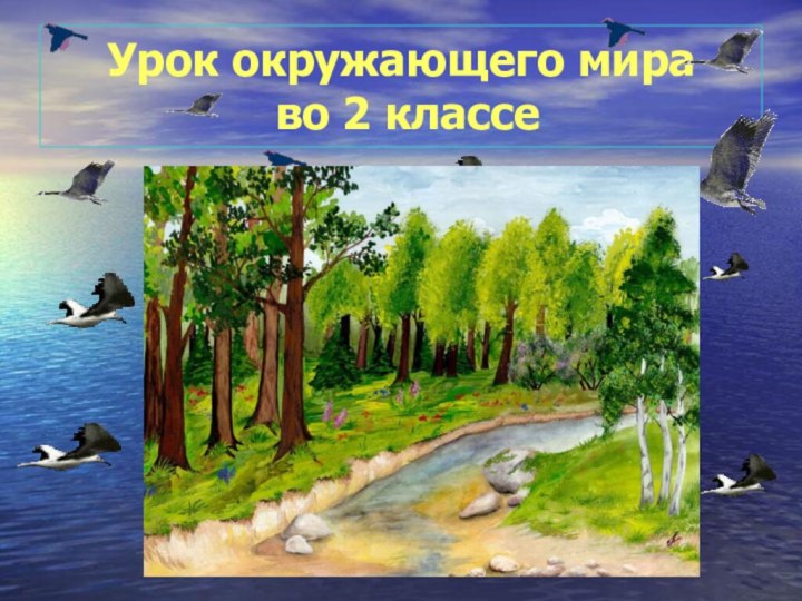 Урок окружающего мира  во 2 классе