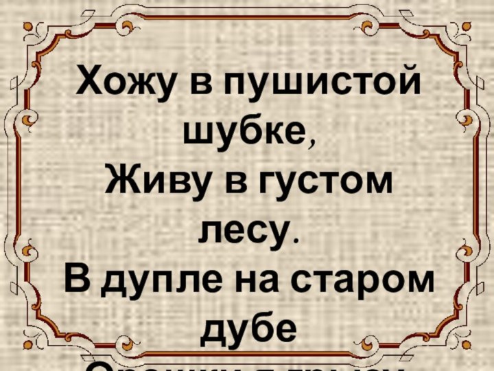 БЕЛОЧКА Хожу в пушистой шубке, Живу в густом лесу. В дупле на