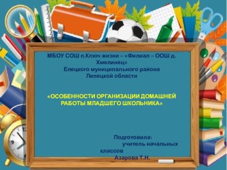 Презентация Особенности организации домашней работы младшего школьника