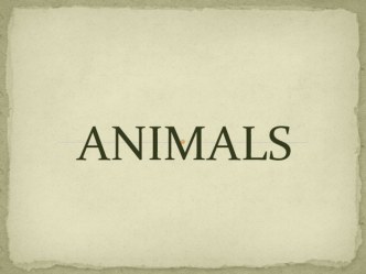 Лексика для 6 кл_Animals