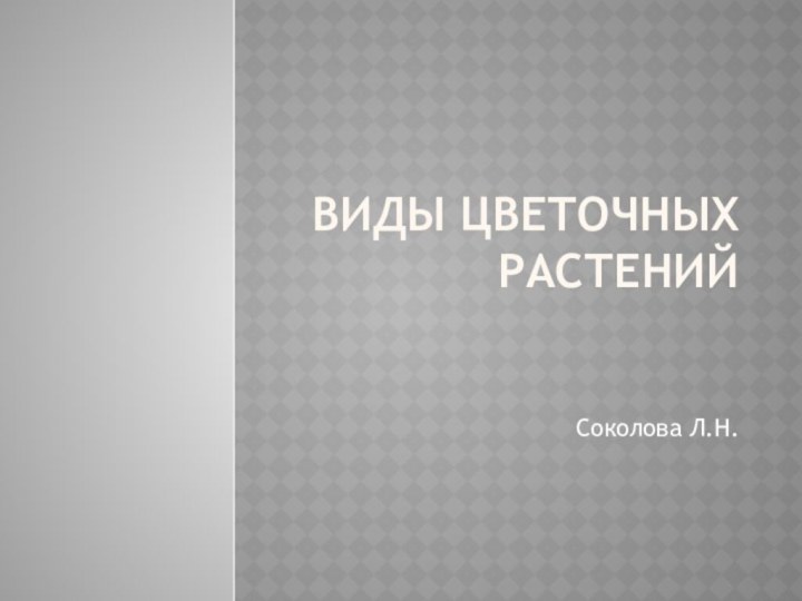 Виды цветочных растенийСоколова Л.Н.