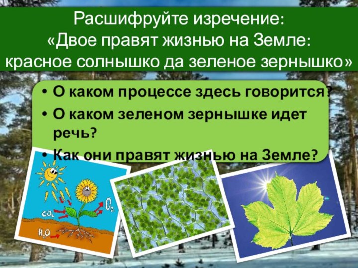 О каком процессе здесь говорится?О каком зеленом зернышке идет речь? Как они