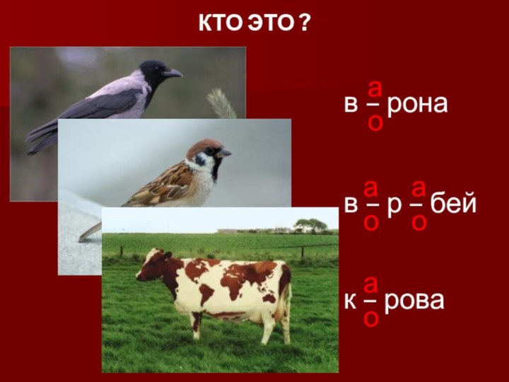 в – ронав – р – бейк – ровааоаоаоаоКТО ЭТО ?