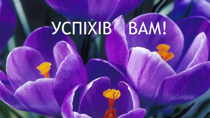 УСПІХІВ  ВАМ!УСПІХІВ  ВАМ!