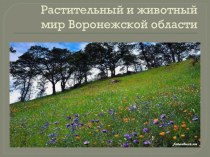 Презентация Растительный и животный мир Воронежской области
