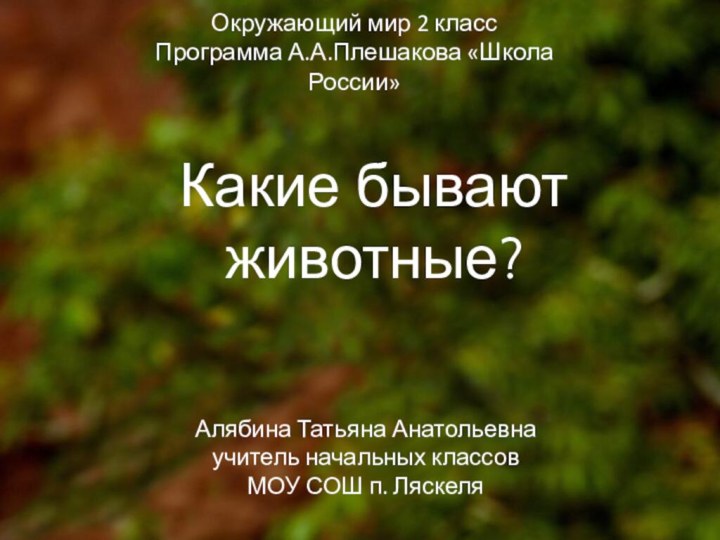 Окружающий мир 2 класс Программа А.А.Плешакова «Школа России»Какие бывают животные?Алябина Татьяна