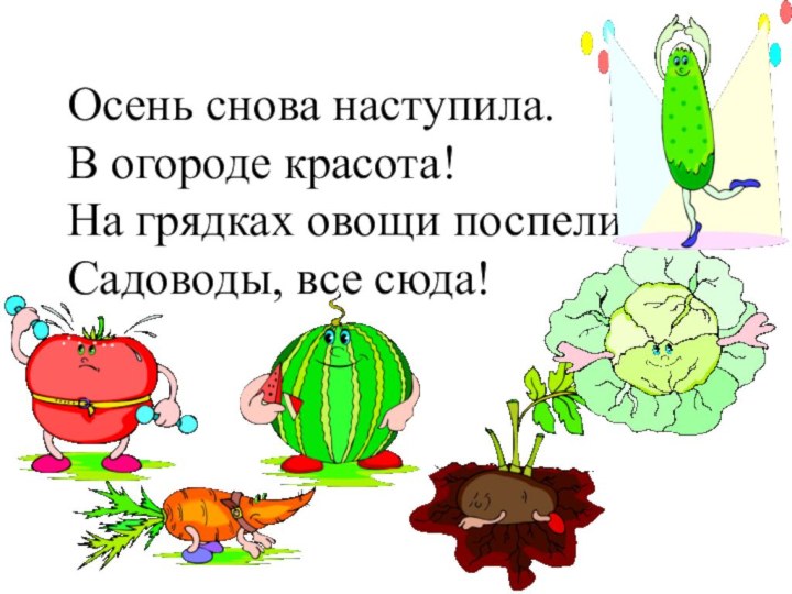 Осень снова наступила. В огороде красота! На грядках овощи поспели, Садоводы, все сюда!