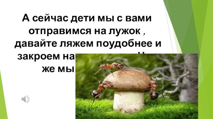 А сейчас дети мы с вами отправимся на лужок ,давайте ляжем поудобнее