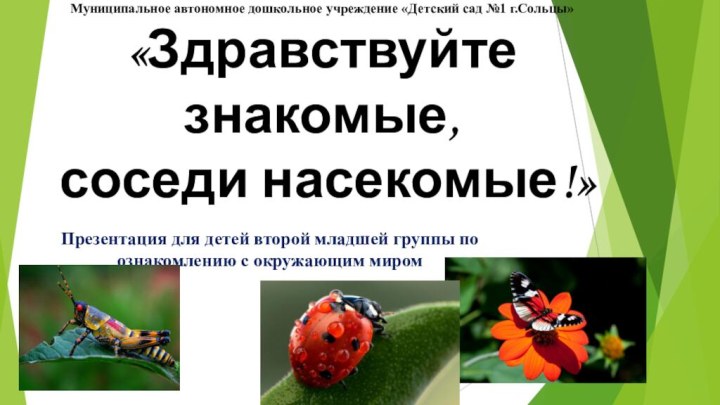 Муниципальное автономное дошкольное учреждение «Детский сад №1 г.Сольцы» «Здравствуйте знакомые,  соседи