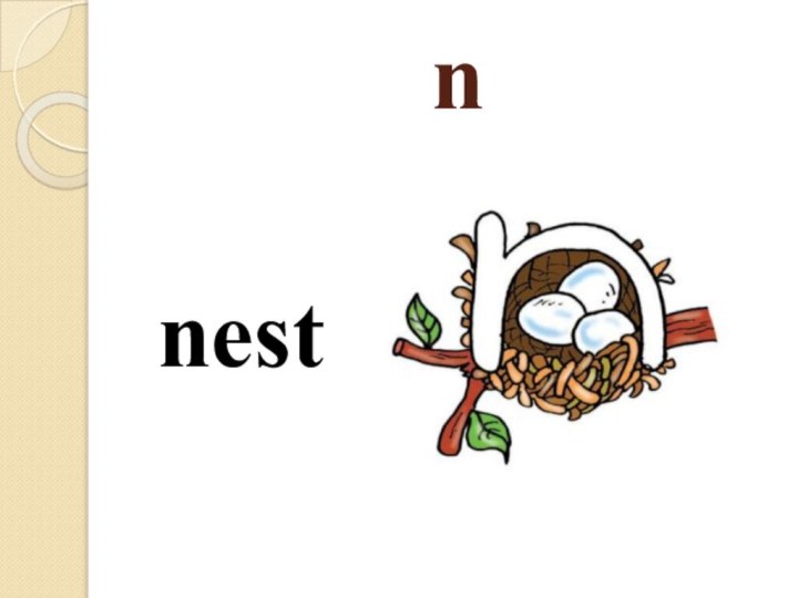 n   nest