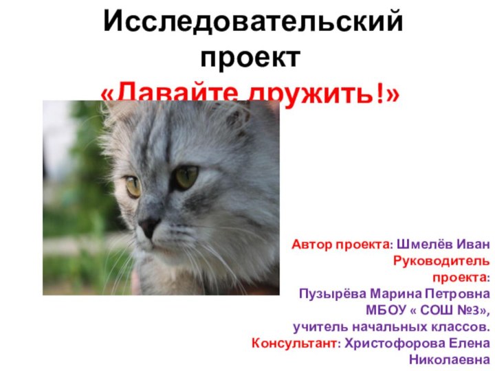 Исследовательский проект  «Давайте дружить!»Автор проекта: Шмелёв Иван