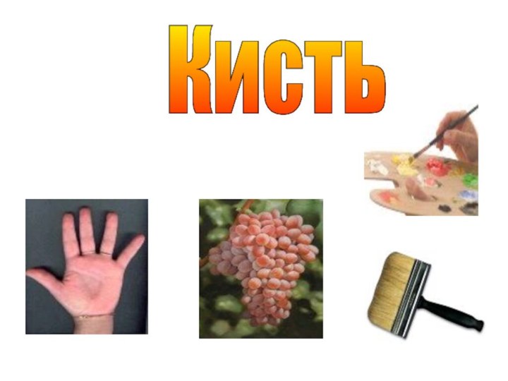 Кисть