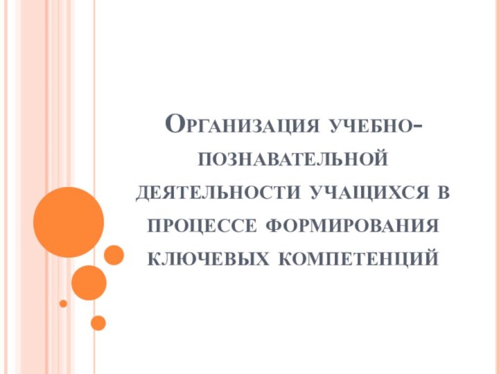 Организация учебно-познавательной деятельности учащихся в процессе формирования ключевых компетенций