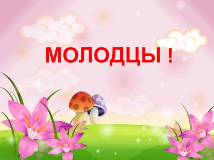 МОЛОДЦЫ !