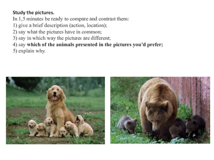 Study the pictures. In 1,5 minutes be ready to compare and contrast