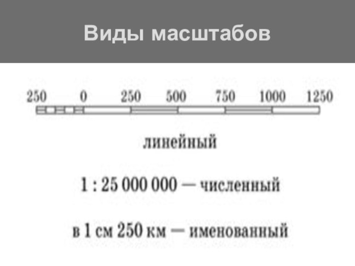 Схема виды масштабов. Виды масштабов карт. Виды масштаба. Масштаб виды масштабов. Виды масштаба 5 класс география.