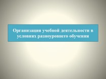 Презентация по дополнительному образованию Организация учебной деятельности в условиях разноуровнего обучения