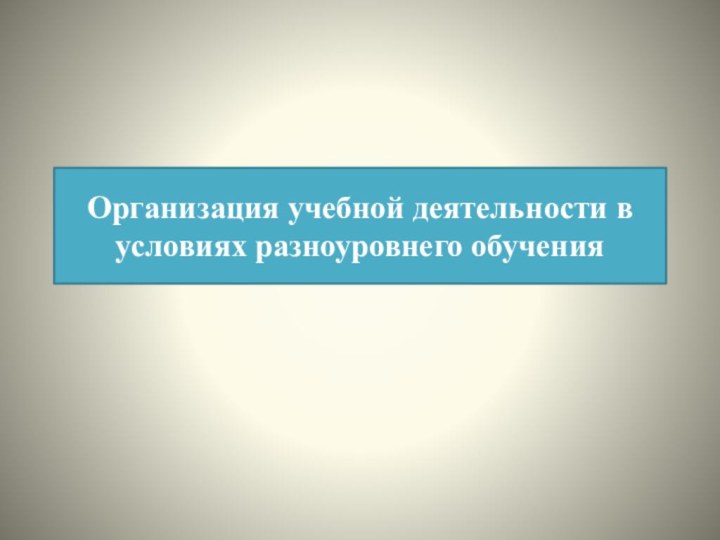 Организация учебной деятельности в условиях разноуровнего обучения