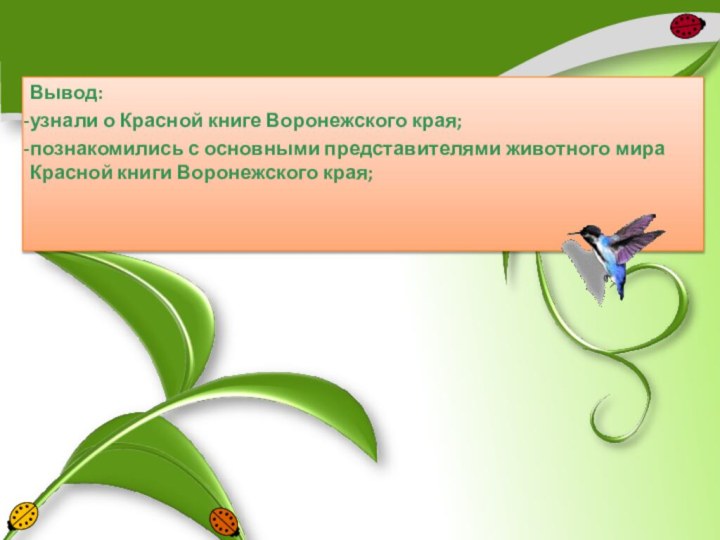 Вывод: узнали о Красной книге Воронежского края;познакомились с основными представителями животного мира Красной книги Воронежского края;