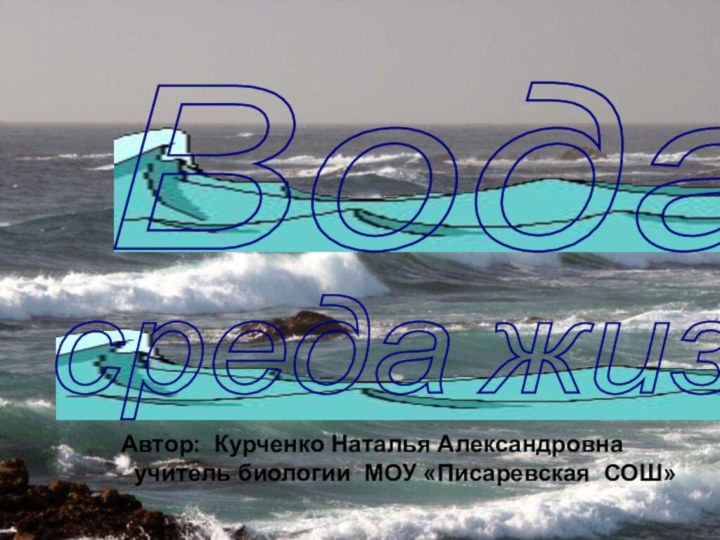 Вода среда жизни Автор: Курченко Наталья Александровна учитель биологии МОУ «Писаревская СОШ»