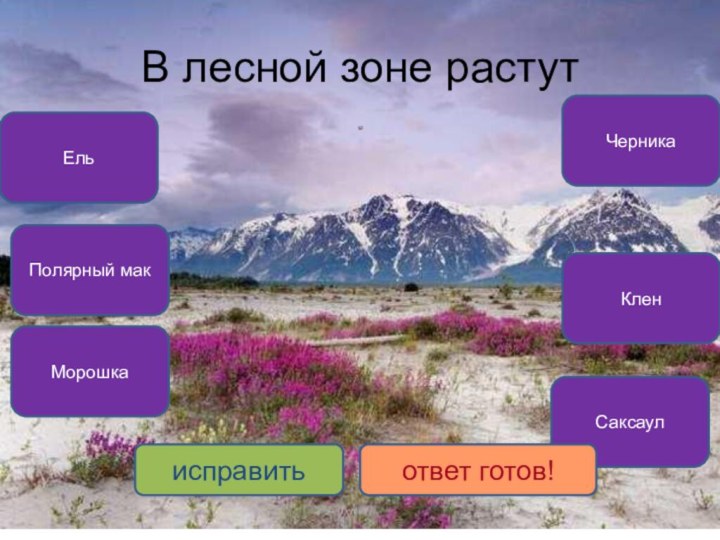 В лесной зоне растутЕль Черника Клен Морошка Полярный макСаксаул исправитьответ готов!