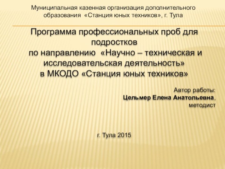 Муниципальная казенная организация дополнительного образования «Станция юных техников», г. ТулаПрограмма профессиональных проб