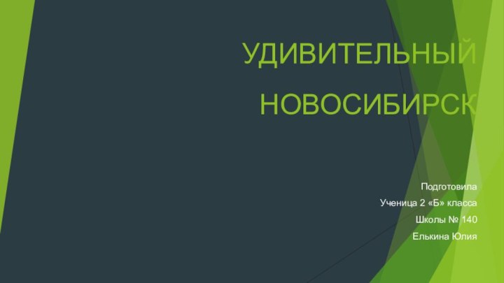 УДИВИТЕЛЬНЫЙ НОВОСИБИРСКПодготовилаУченица 2 «Б» классаШколы № 140Елькина Юлия