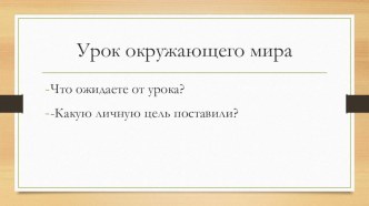 Презентация по окружающему миру внимание