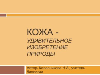 Презентация по биологии Кожа