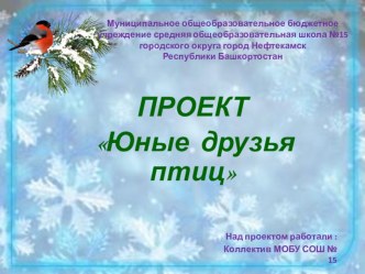 Проект Юные друзья птиц. Творческий отчет Природоохранной акции Кормушка