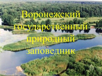 Презентация Виртуальное путешествие по Воронежскому биосферному заповеднику.pptx