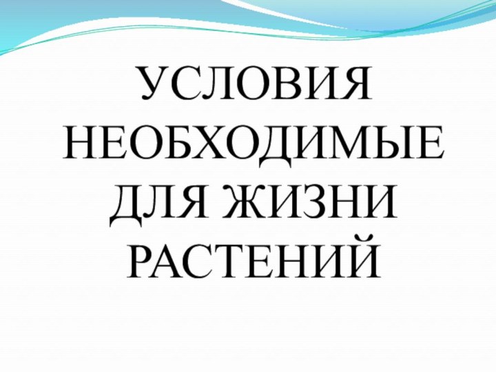 УСЛОВИЯ НЕОБХОДИМЫЕ ДЛЯ ЖИЗНИ РАСТЕНИЙ