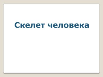 Презентация по окружающему миру на тему Скелет человека