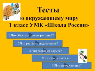 Тесты (3 выпуск) по окружающему миру 1 класс УМК Школа России