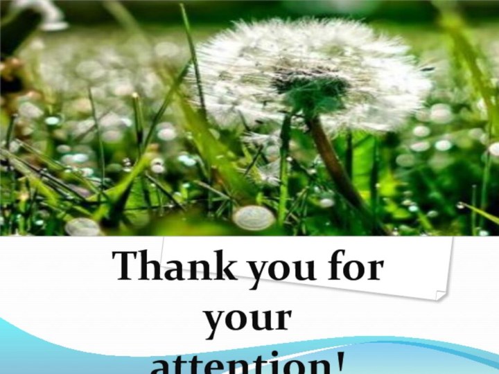 Thank you for your attention!