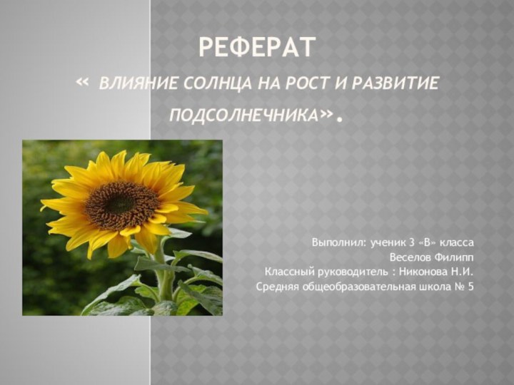 Реферат