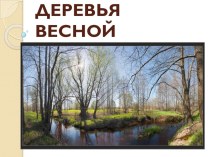 Презентация по ИЗО на тему Деревья весной (3 класс)