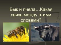 Бык и пчела… Какая связь между этими словами?