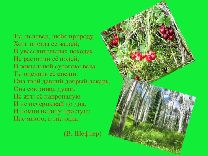 Ты, человек, любя природу, Хоть иногда ее жалей; В увеселительных