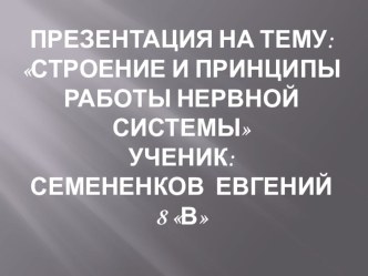 Презентация по биологии Строение и принципы работы НС